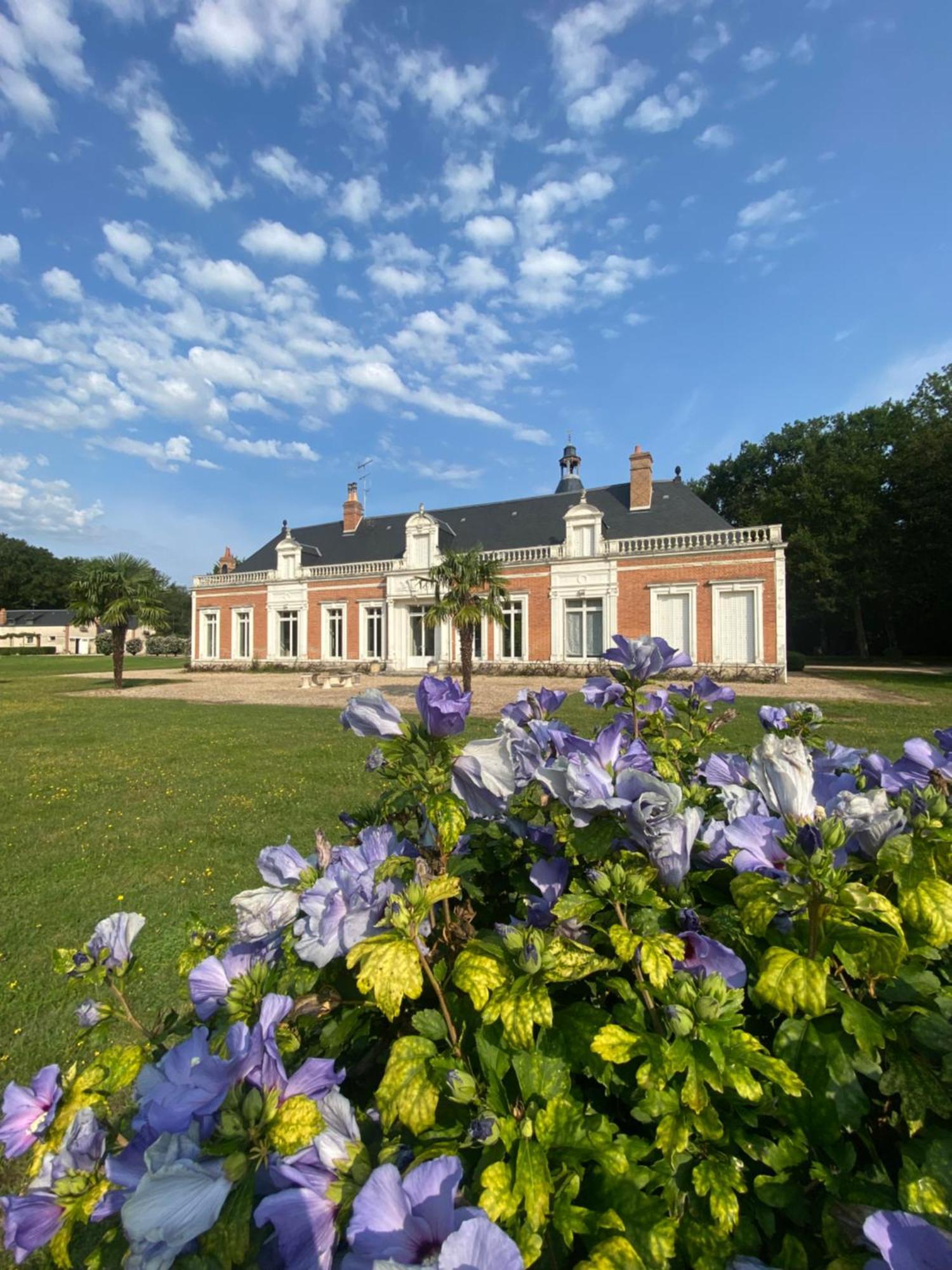 Domaine De Charme - Les Places Lassay-sur-Croisne Екстериор снимка